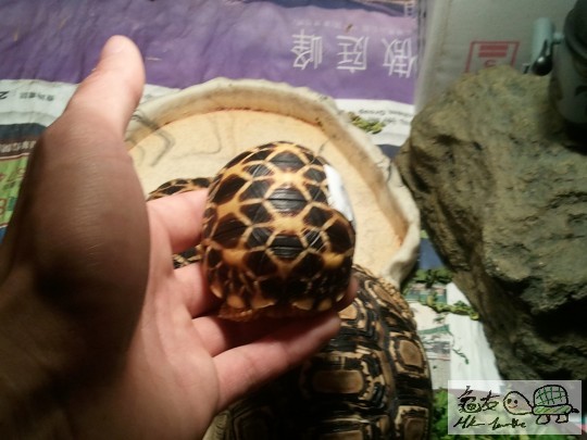 2012-05-08 09.36.19.jpg