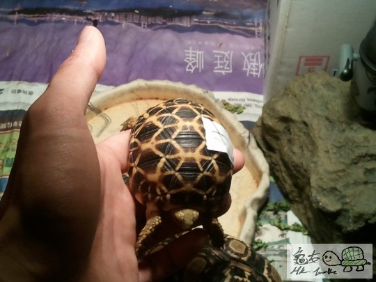 2012-05-08 09.36.34.jpg