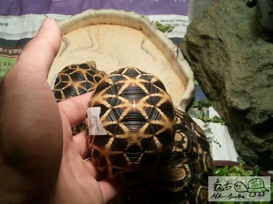 2012-05-08 09.36.42.jpg