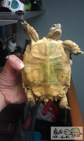 IMAG0553 (383x640).jpg