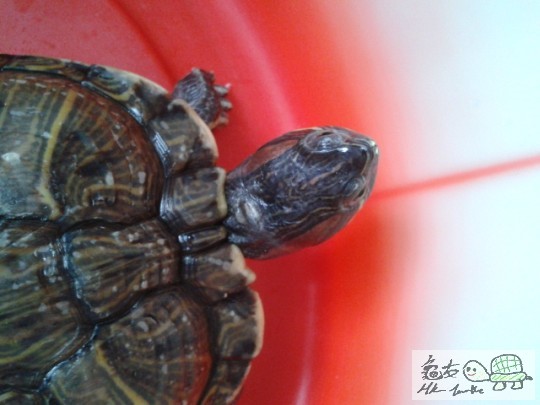 2012-05-18 12.16.51.jpg