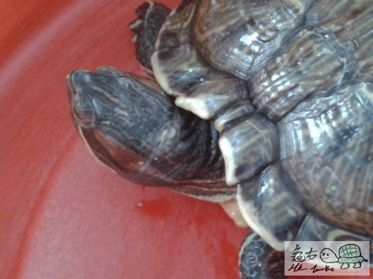 2012-05-18 12.33.50.jpg