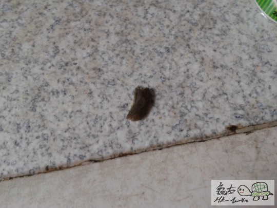 2012-05-18 15.36.53.jpg