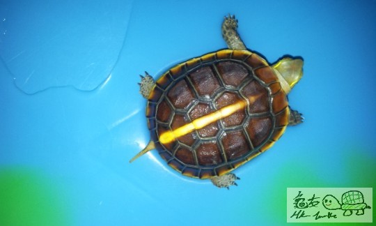 20120523_001856.jpg
