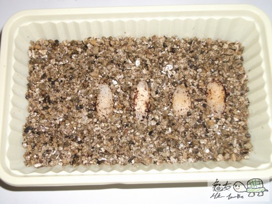 DSCF2487 (1280x960).jpg