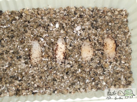 DSCF2496 (1280x960).jpg