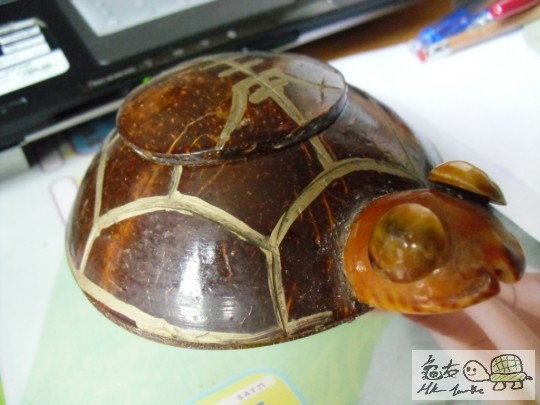 HELLO, 我係一隻龜