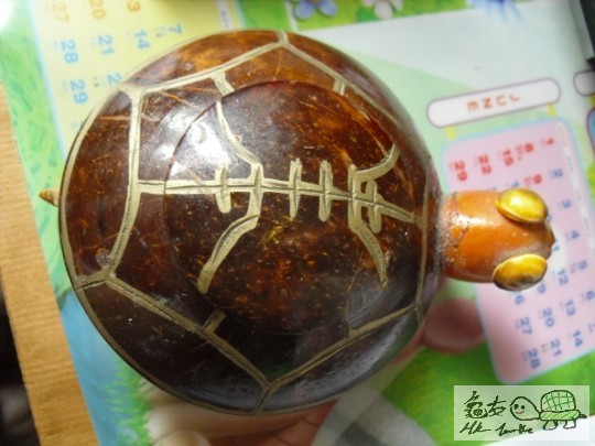 背甲D花紋係咪好靚呢, 身形幾波XD