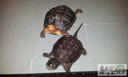 C360_2011-08-20 12-23-21.jpg