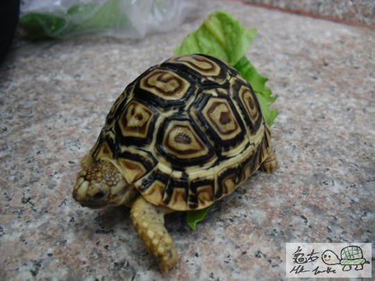 幾識擺POSE XD ,連菜都唔食XD