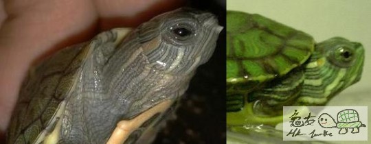 293836_413561378679439_40498858_n[1] - 複製.jpg