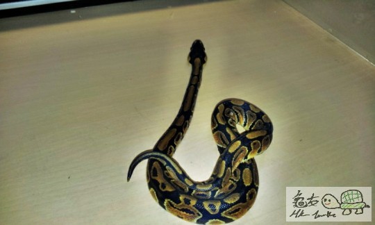 C360_2012-06-26-18-20-53 - Copy.jpg