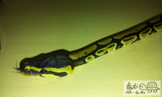 C360_2012-06-26-18-21-16 - Copy.jpg