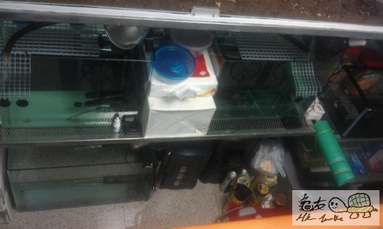 IMAG0720 (640x383).jpg