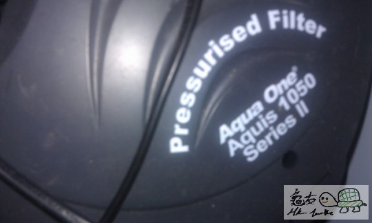 IMAG0719 (383x640).jpg