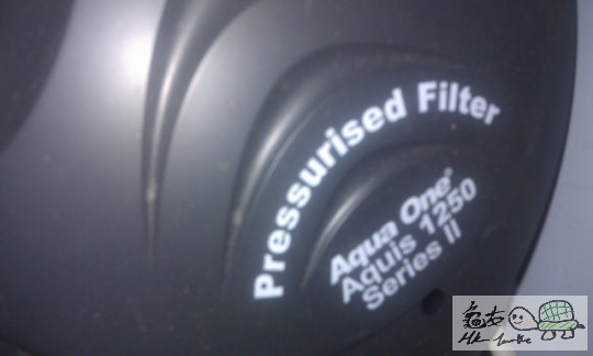 IMAG0718 (383x640).jpg