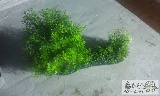 IMAG0723 (640x383).jpg