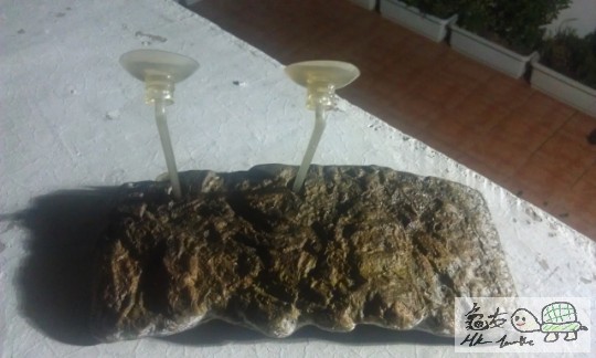 IMAG0724 (640x383).jpg