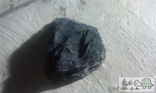 IMAG0725 (640x383).jpg