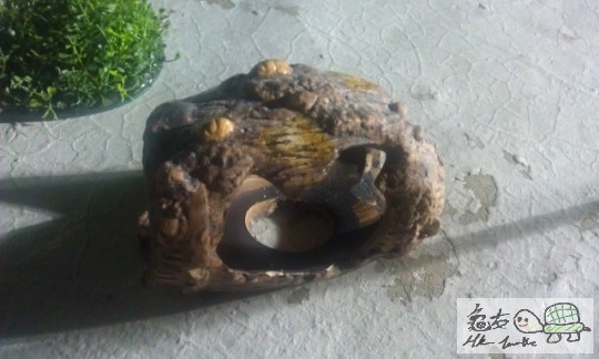 IMAG0726 (640x383).jpg