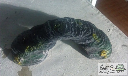 IMAG0727 (640x383).jpg