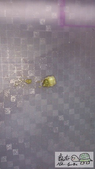 有D白色既屎 係汁邊