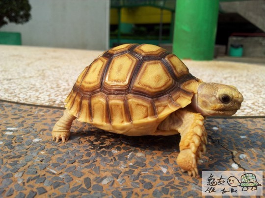 2012-07-21 16.23.14.jpg