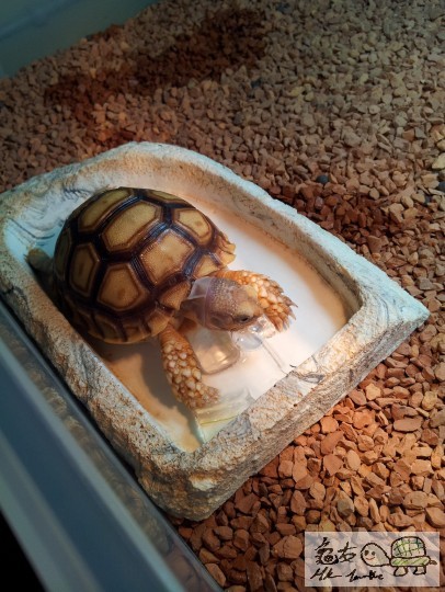 2012-07-22 12.43.20.jpg