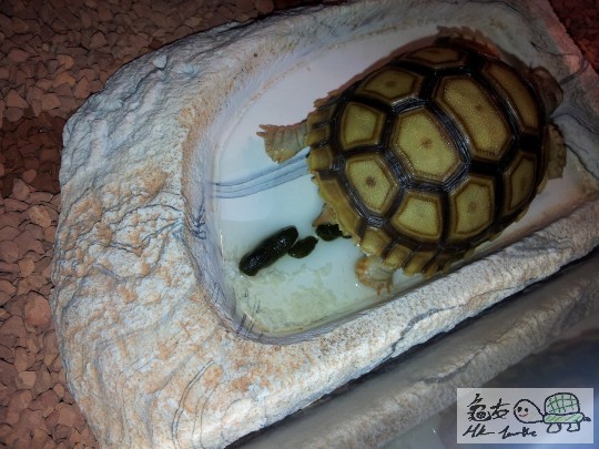 2012-07-22 12.52.25.jpg