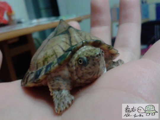 2012-07-23 22.13.11.jpg