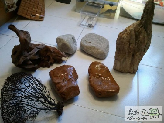 調整大小2012-08-08 18.21.14.jpg