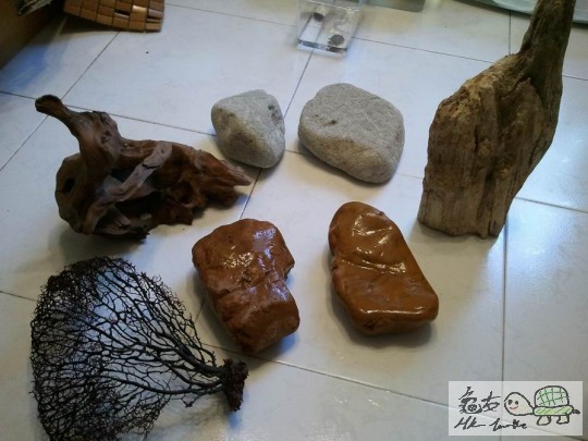 調整大小2012-08-08 18.20.55.jpg