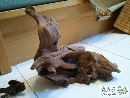 調整大小2012-08-08 18.23.07.jpg