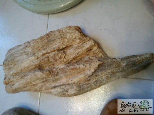 調整大小2012-08-08 18.27.10.jpg