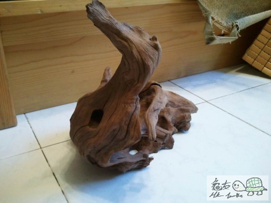 調整大小2012-08-08 18.23.27.jpg