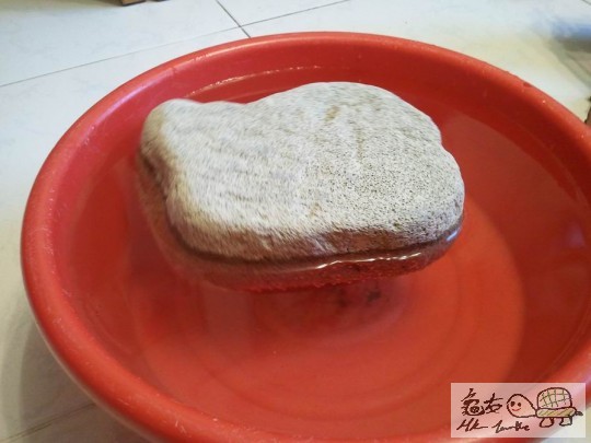 調整大小2012-08-08 18.33.20.jpg