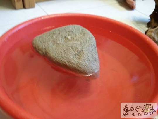 調整大小2012-08-08 18.33.43.jpg