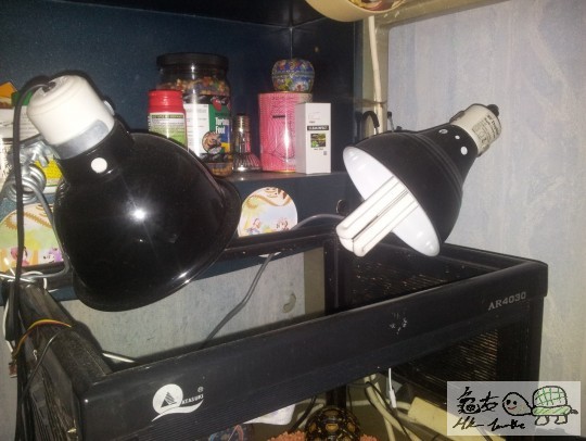 2012-08-26 00.41.51.jpg