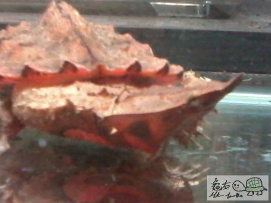 2012-08-27 20.21.16.jpg