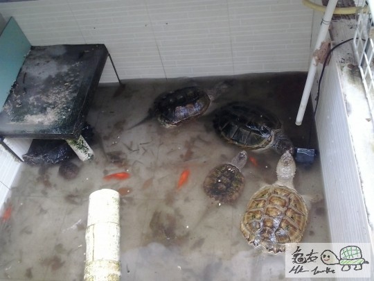 2012-08-30 16.26.32.jpg