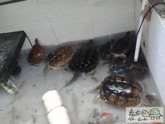 2012-08-30 16.32.41.jpg