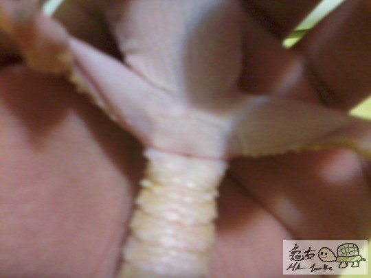 2012-09-03 20.18.10.jpg