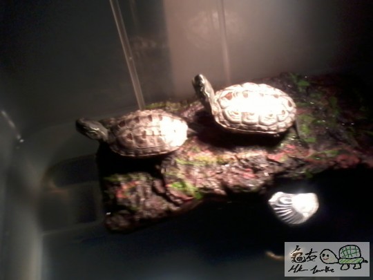 2012-06-22 19.42.29.jpg