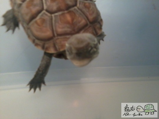 2012-06-21 15.25.51.jpg