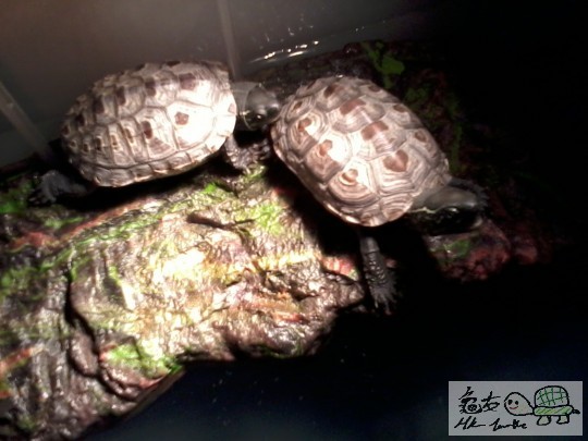 2012-07-28 20.29.21.jpg