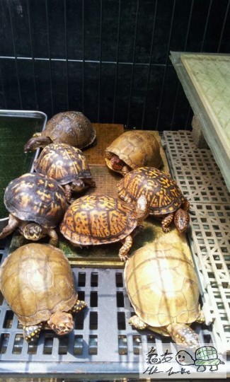 bbbbbbbbbbbbbbb 259.jpg