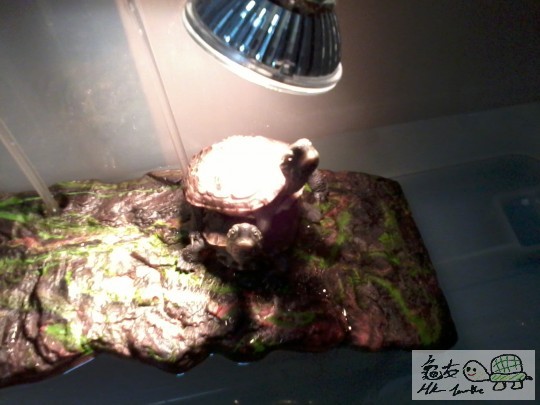 2012-07-02 20.52.16.jpg