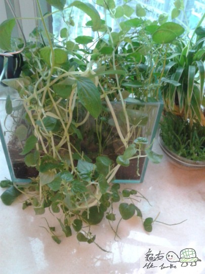 2012-09-19 17.35.30.jpg