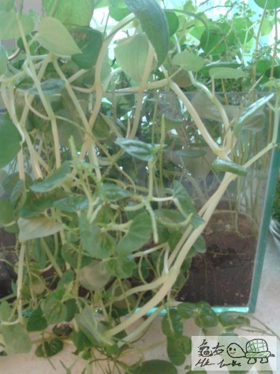 2012-09-19 17.35.42.jpg