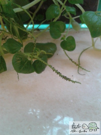 2012-09-19 17.35.58.jpg